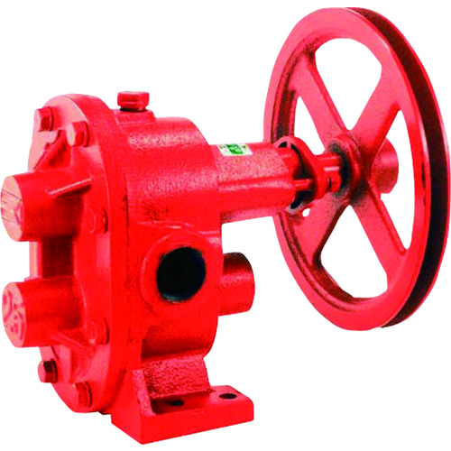 GC-25.jpg